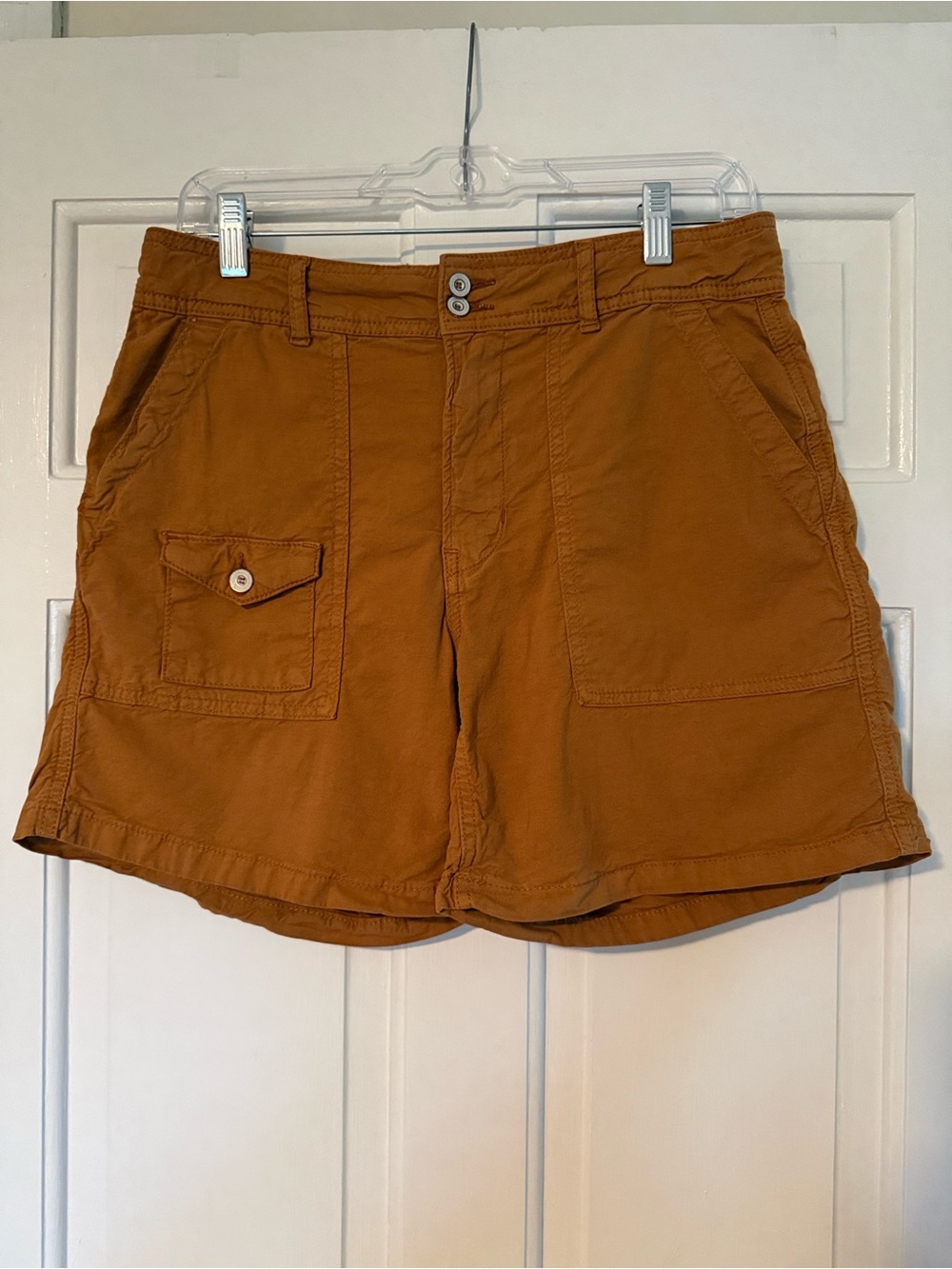 Anthropologie Women’s The Wanderer Casual Cargo Shorts in Rust - Size 29